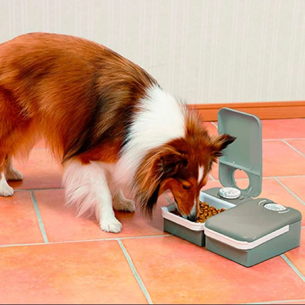 PetSafe 2 Meal Automatic Pet Feeder